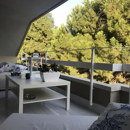 Domus Billi Ferienhaus *